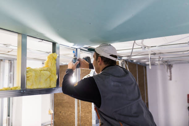 Best Attic Insulation Installation  in Clarendon Hls, IL